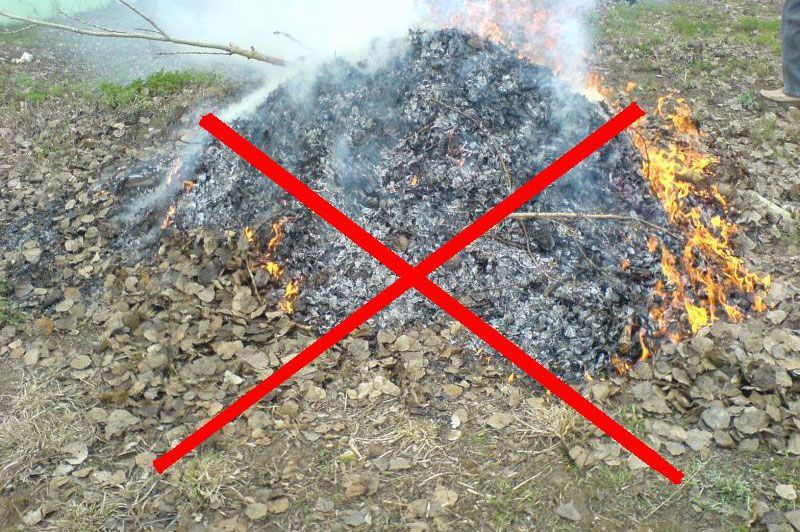 Владельцами садовых и дачных участков при уборке территории необходимо соблюдать правила пожарной безопасности.