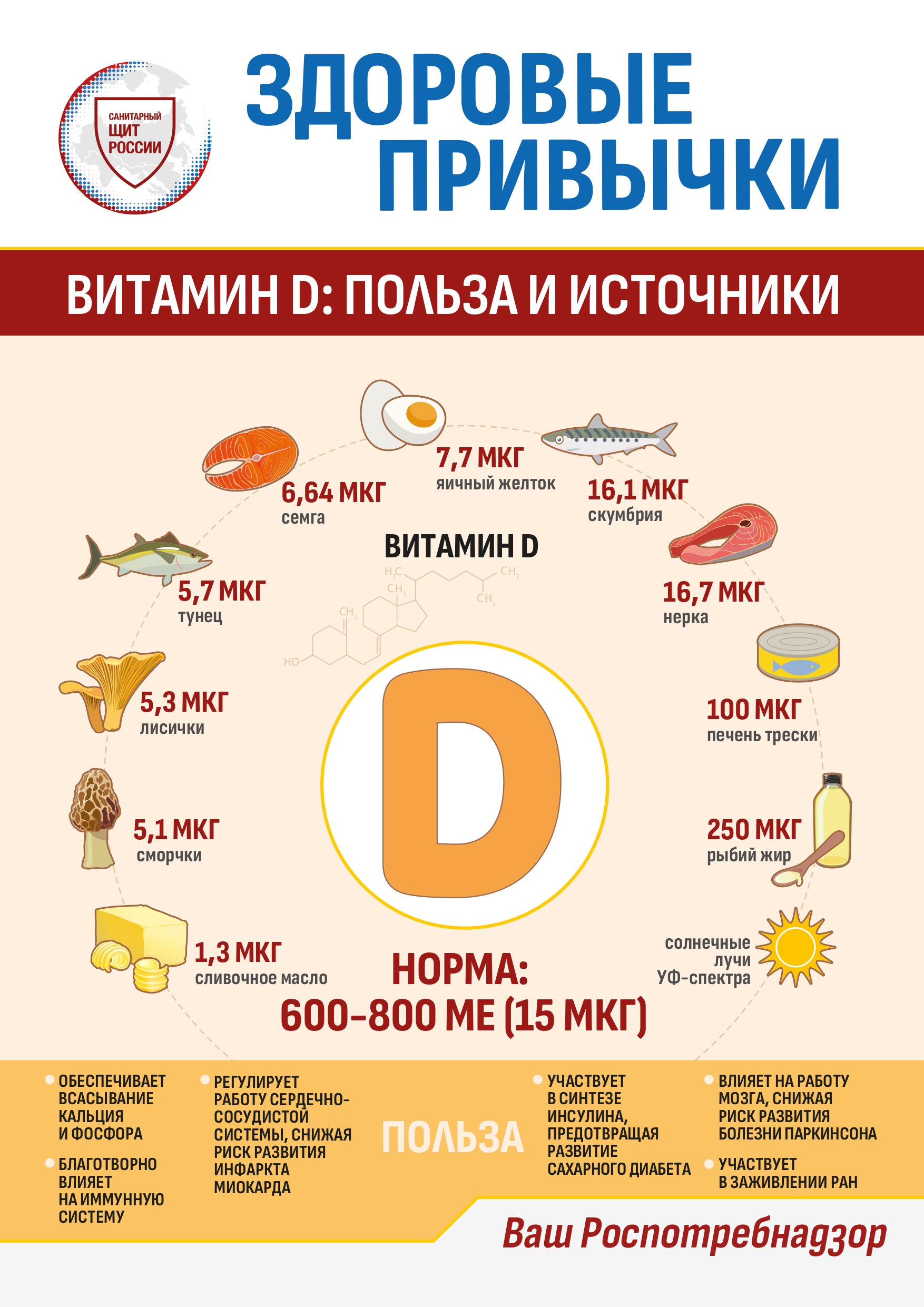 Информационные материалы по здоровому питанию.