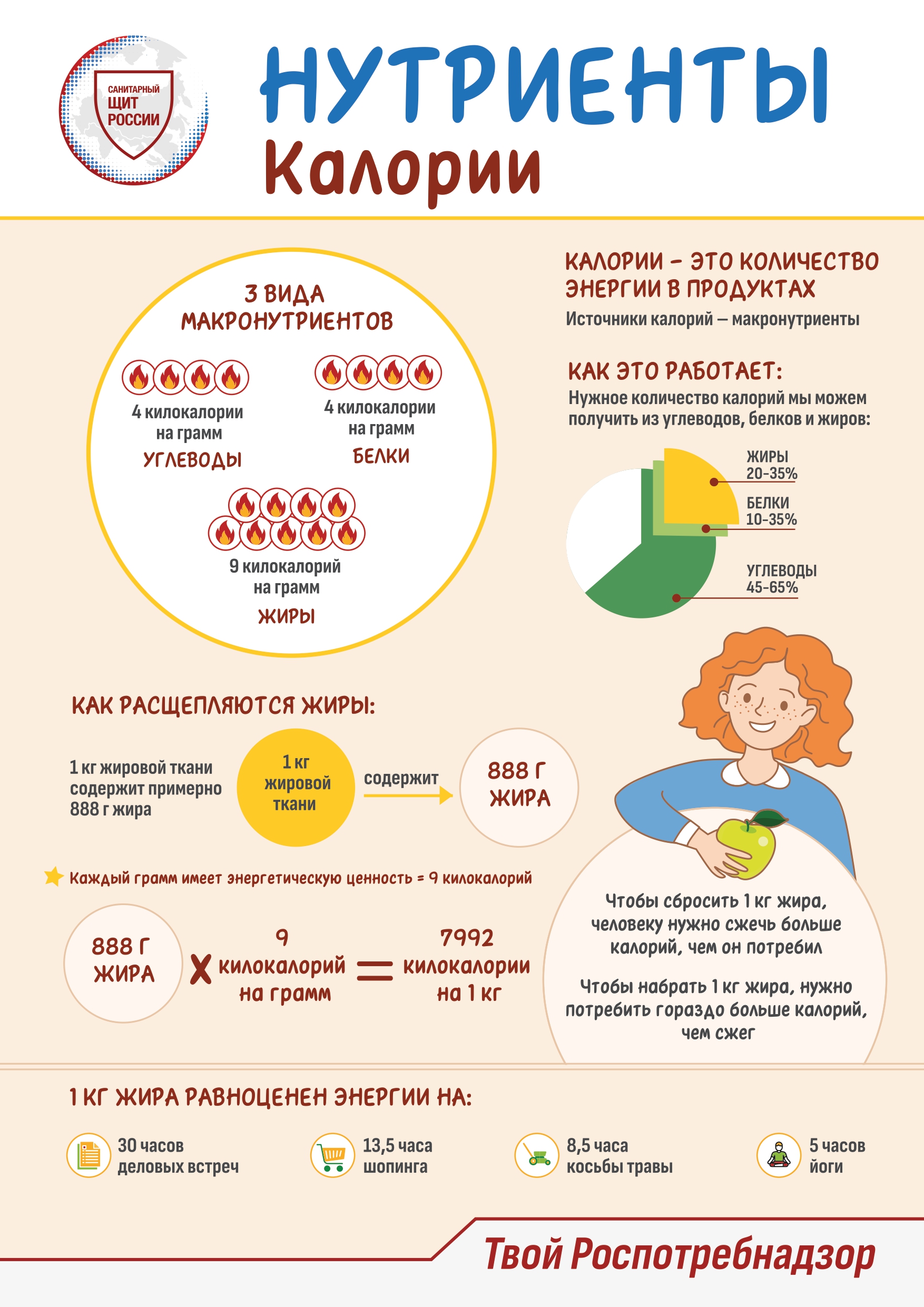 Информационные материалы по здоровому питанию.