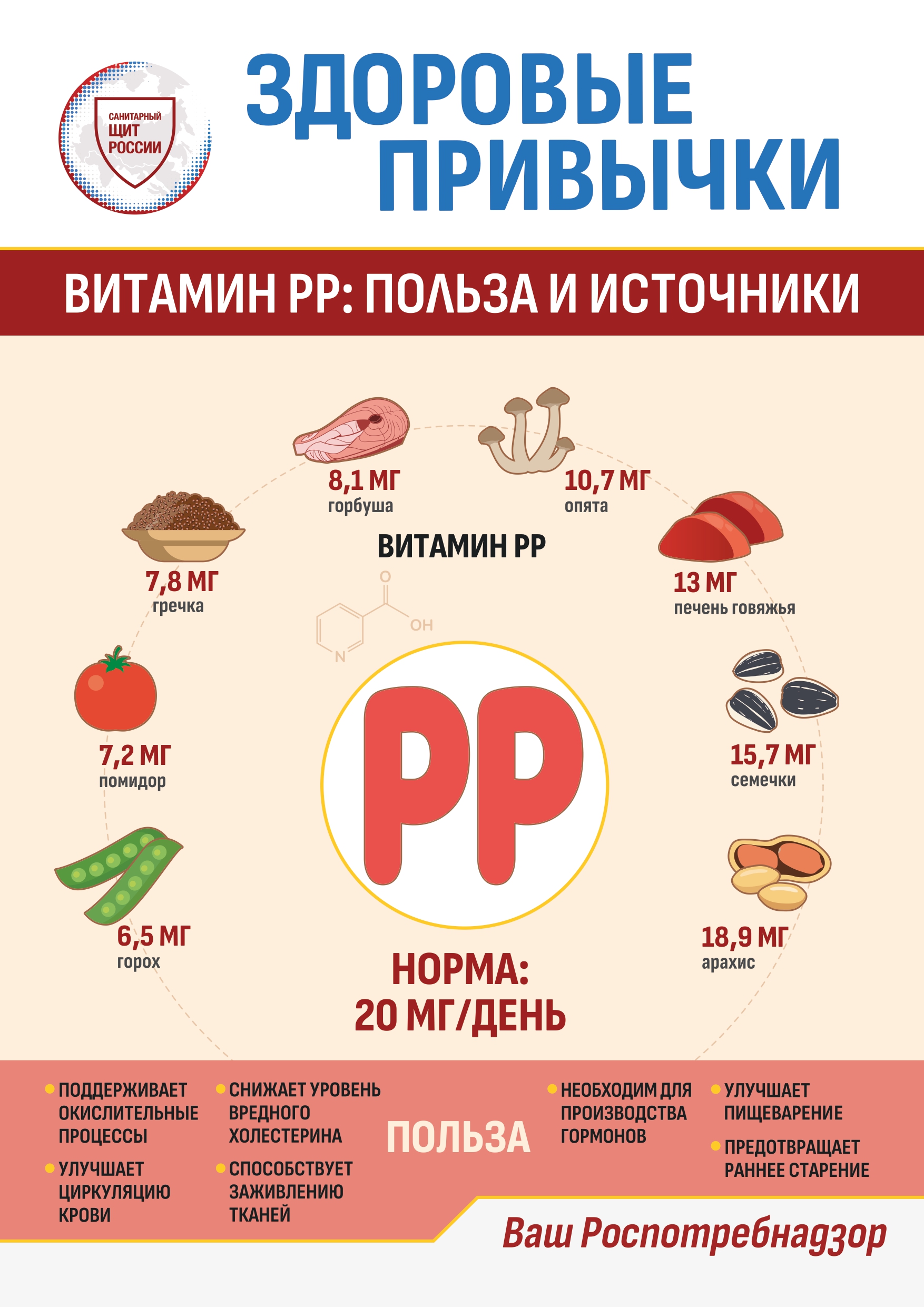 Информационные материалы по здоровому питанию.