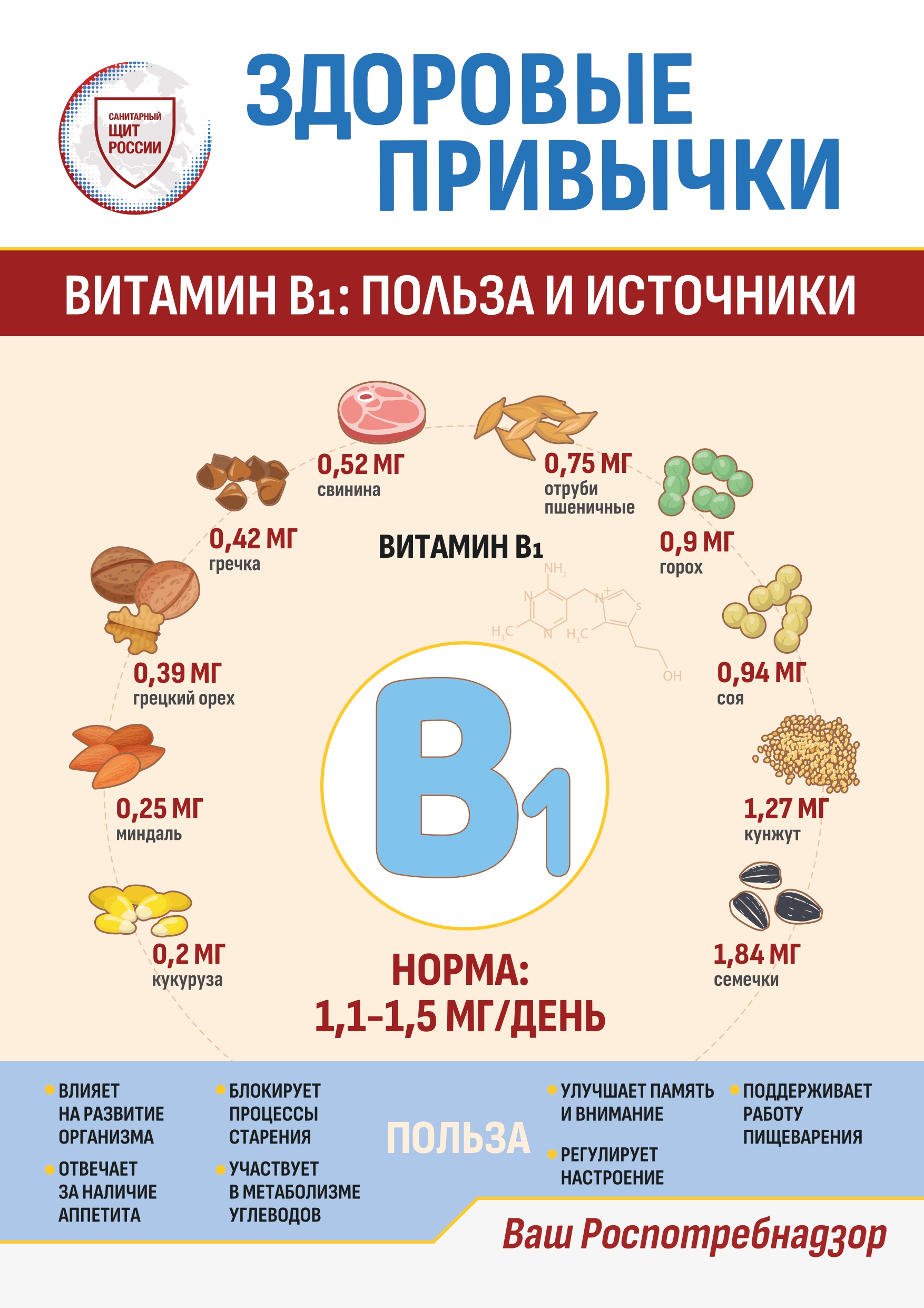 Информационные материалы по здоровому питанию.