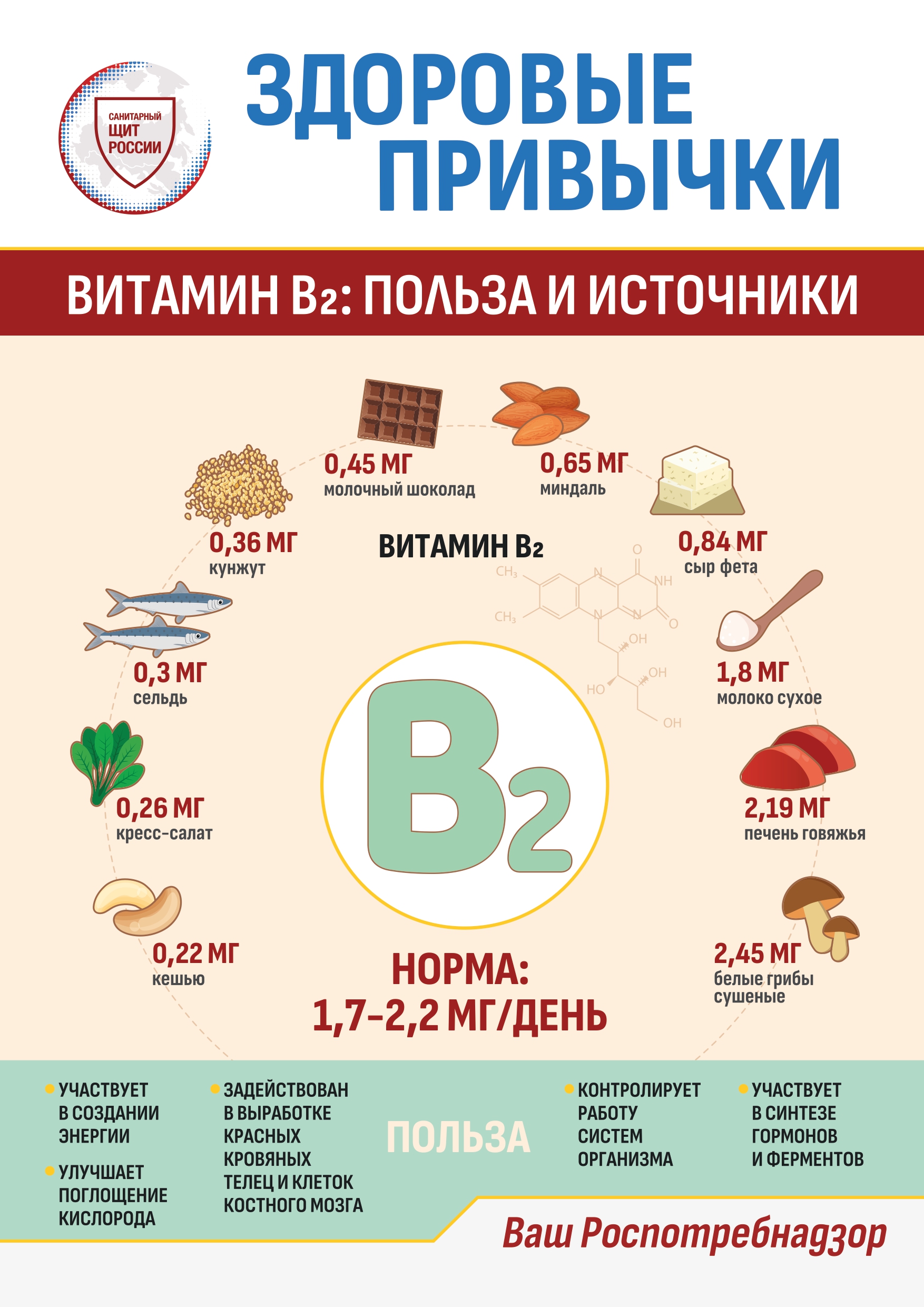 Информационные материалы по здоровому питанию.