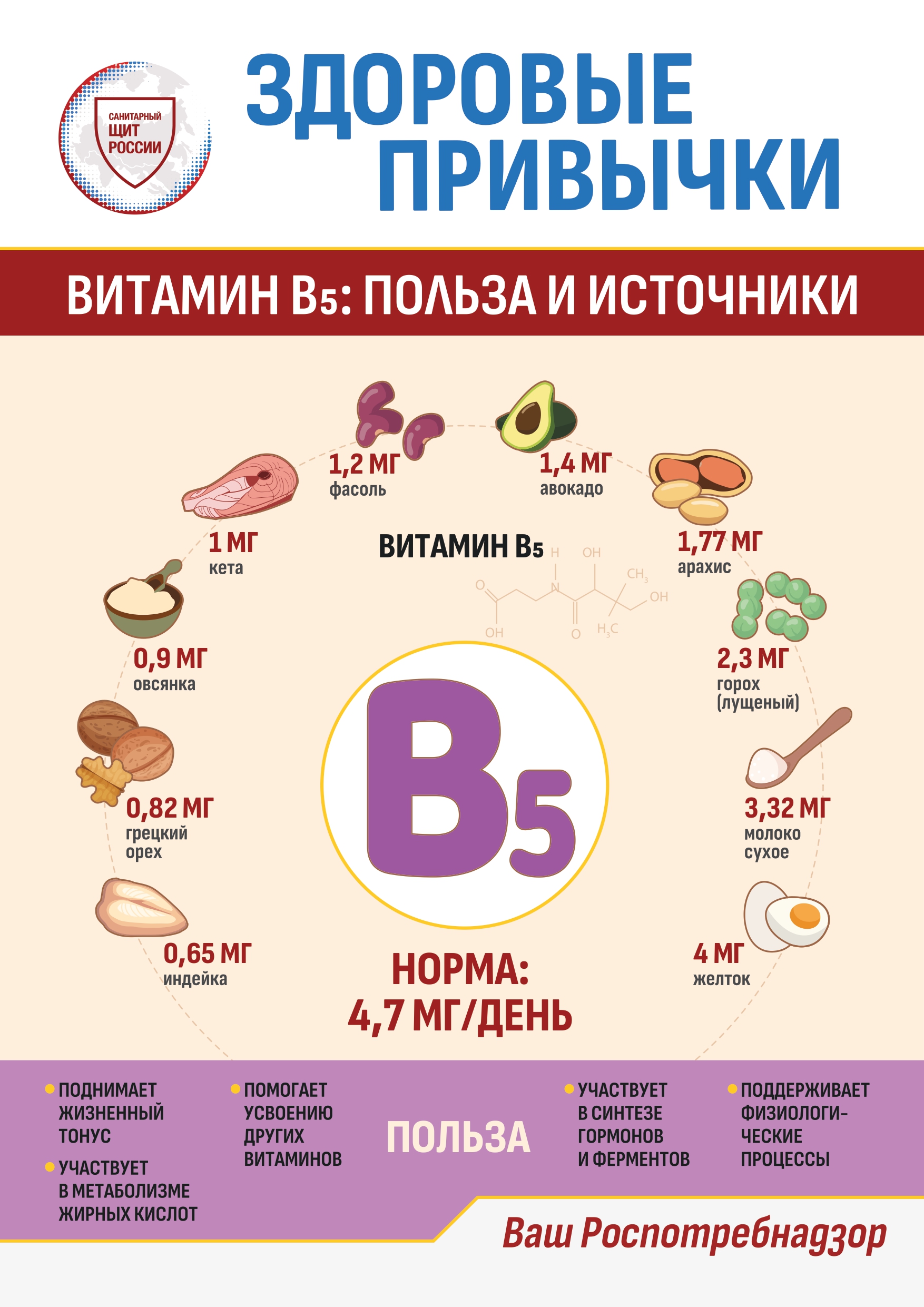 Информационные материалы по здоровому питанию.