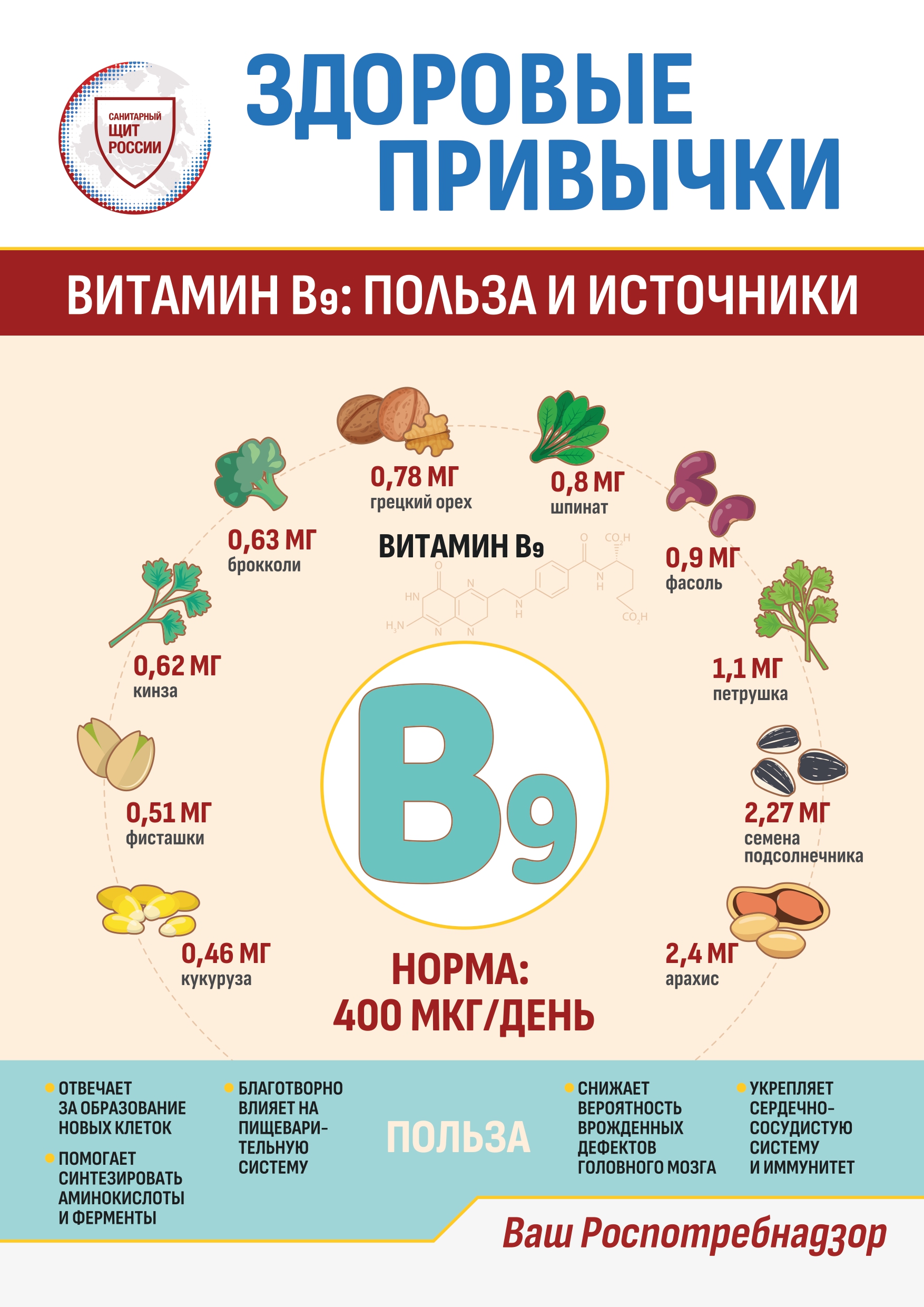 Информационные материалы по здоровому питанию.