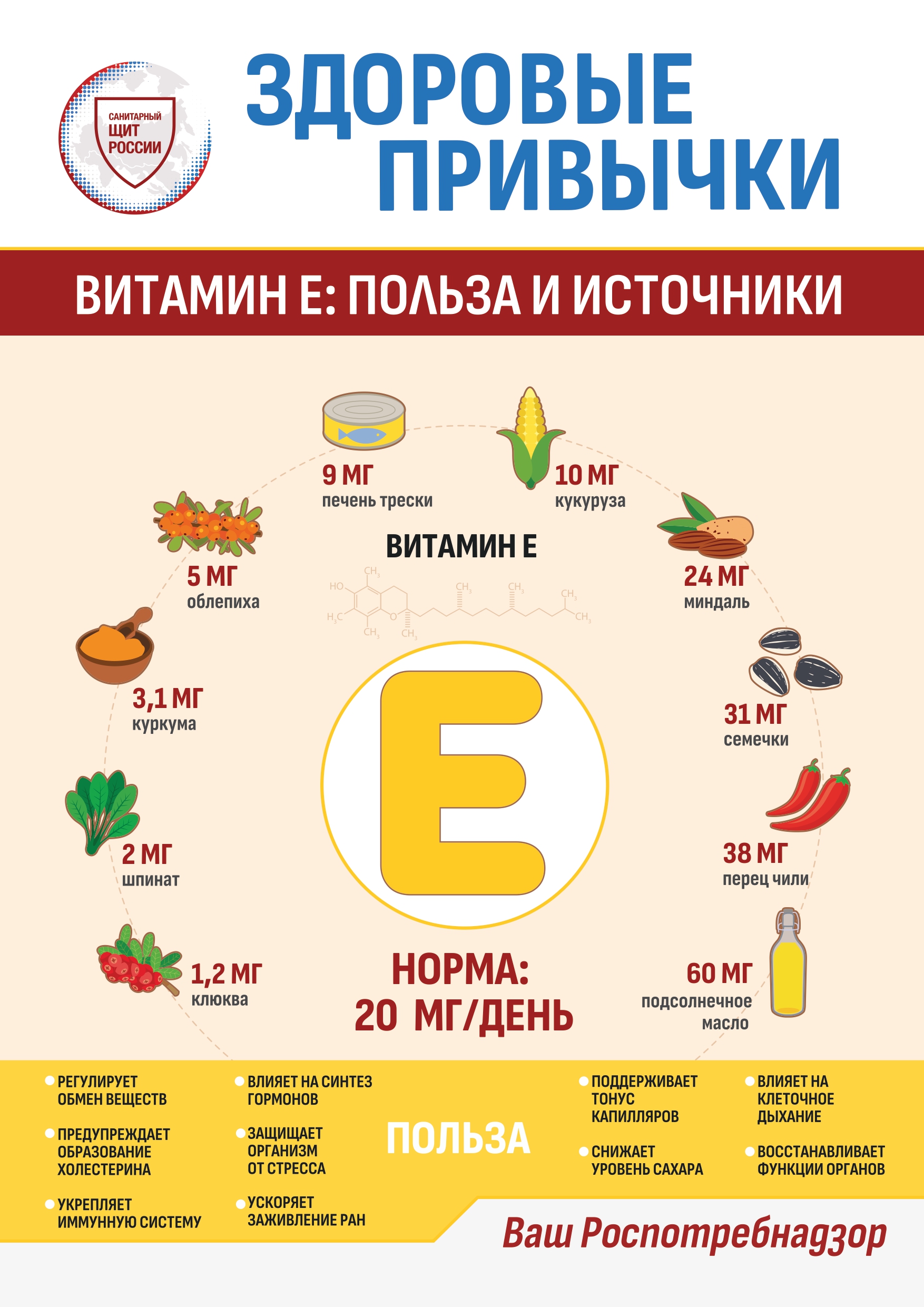 Информационные материалы по здоровому питанию.